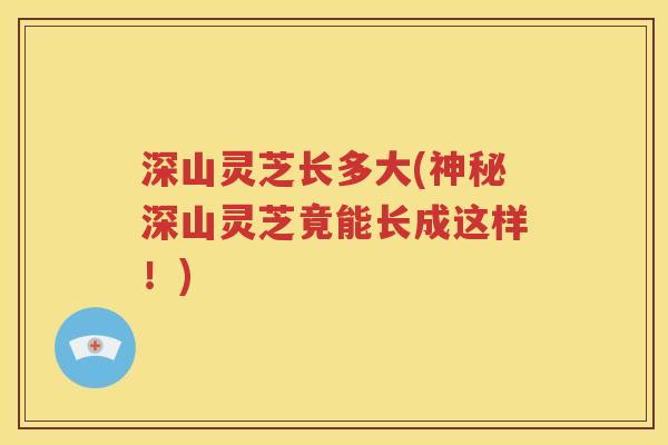 深山灵芝长多大(神秘深山灵芝竟能长成这样！)