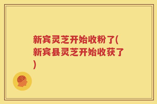 新宾灵芝开始收粉了(新宾县灵芝开始收获了)