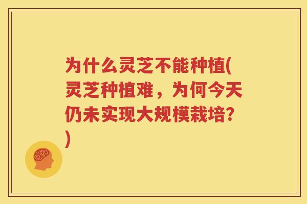 为什么灵芝不能种植(灵芝种植难，为何今天仍未实现大规模栽培？)