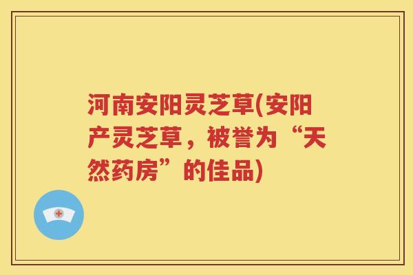 河南安阳灵芝草(安阳产灵芝草，被誉为“天然药房”的佳品)
