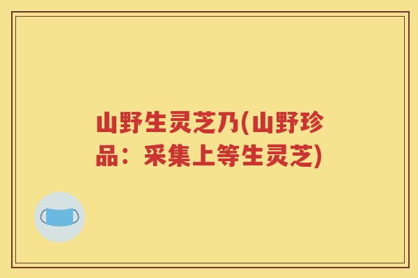 山野生灵芝乃(山野珍品：采集上等生灵芝)