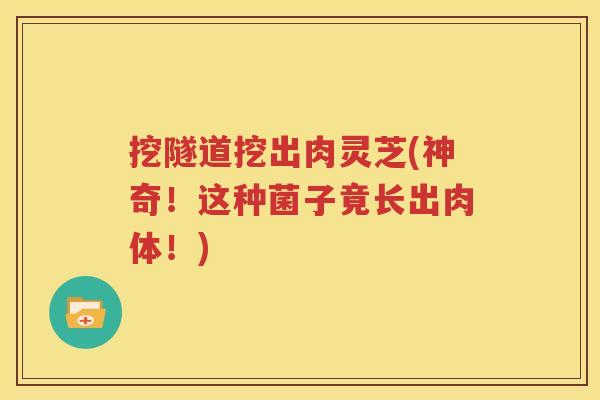 挖隧道挖出肉灵芝(神奇！这种菌子竟长出肉体！)
