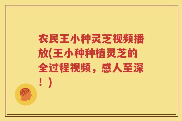 农民王小种灵芝视频播放(王小种种植灵芝的全过程视频，感人至深！)
