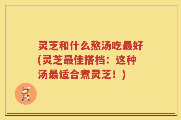 灵芝和什么熬汤吃最好(灵芝最佳搭档：这种汤最适合煮灵芝！)