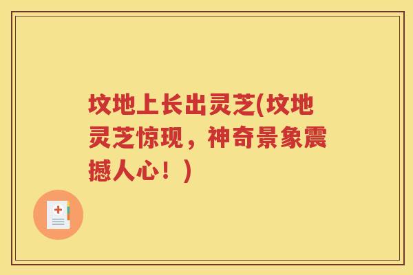 坟地上长出灵芝(坟地灵芝惊现，神奇景象震撼人心！)