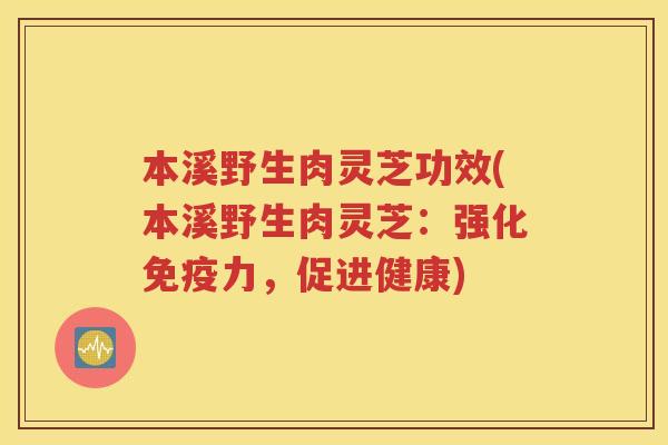 本溪野生肉灵芝功效(本溪野生肉灵芝：强化免疫力，促进健康)