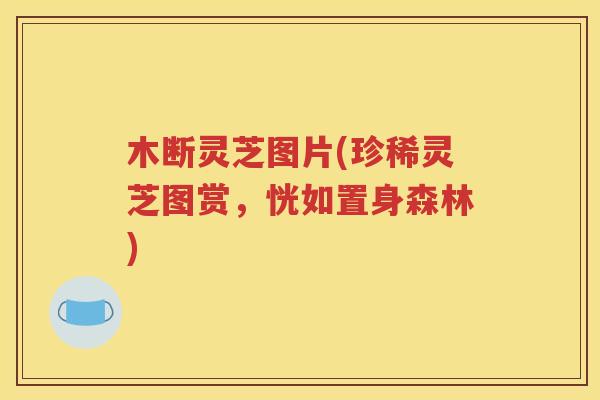 木断灵芝图片(珍稀灵芝图赏，恍如置身森林)