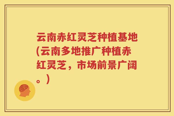 云南赤红灵芝种植基地(云南多地推广种植赤红灵芝，市场前景广阔。)
