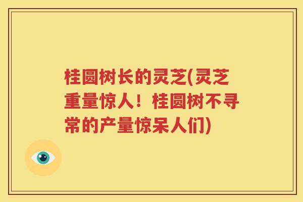 桂圆树长的灵芝(灵芝重量惊人！桂圆树不寻常的产量惊呆人们)