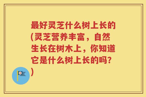 最好灵芝什么树上长的(灵芝营养丰富，自然生长在树木上，你知道它是什么树上长的吗？)
