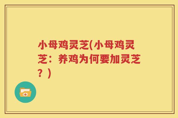 小母鸡灵芝(小母鸡灵芝：养鸡为何要加灵芝？)
