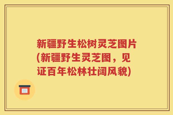 新疆野生松树灵芝图片(新疆野生灵芝图，见证百年松林壮阔风貌)