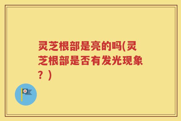 灵芝根部是亮的吗(灵芝根部是否有发光现象？)