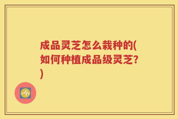 成品灵芝怎么栽种的(如何种植成品级灵芝？)