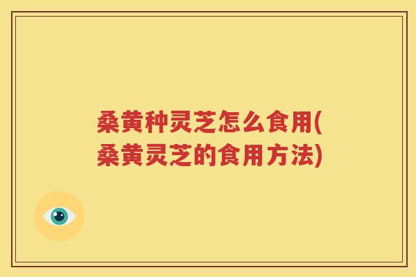 桑黄种灵芝怎么食用(桑黄灵芝的食用方法)