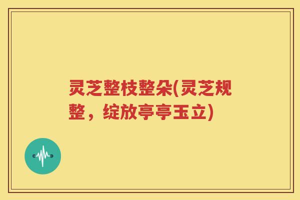 灵芝整枝整朵(灵芝规整，绽放亭亭玉立)