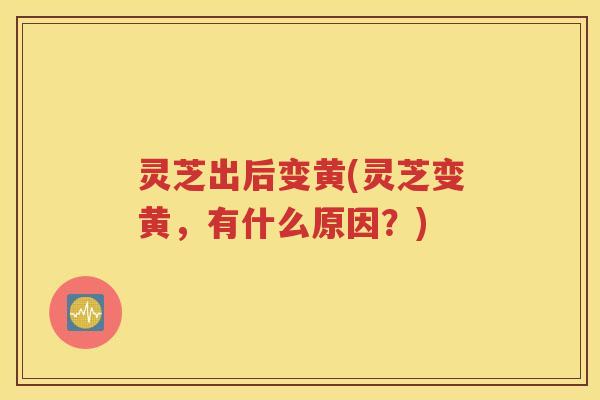 灵芝出后变黄(灵芝变黄，有什么原因？)