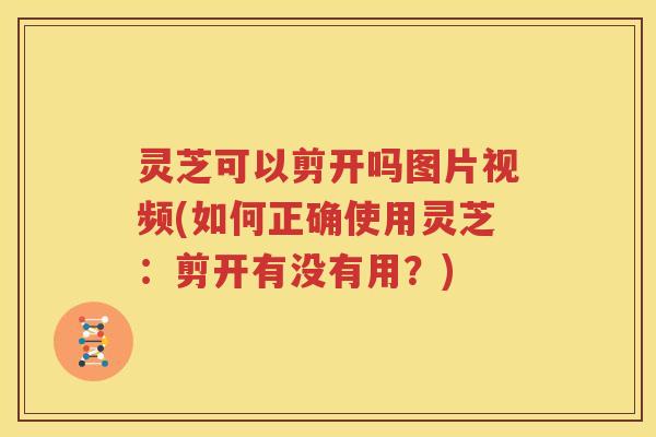灵芝可以剪开吗图片视频(如何正确使用灵芝：剪开有没有用？)