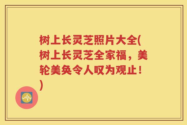树上长灵芝照片大全(树上长灵芝全家福，美轮美奂令人叹为观止！)