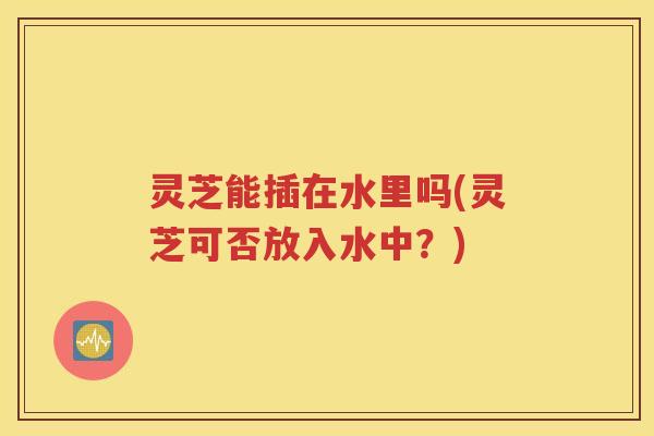 灵芝能插在水里吗(灵芝可否放入水中？)