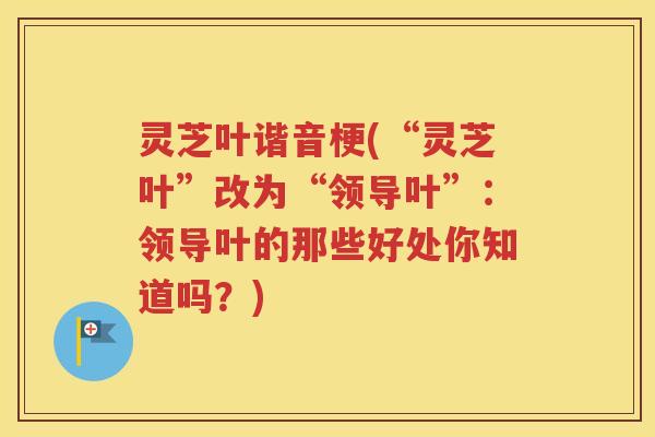 灵芝叶谐音梗(“灵芝叶”改为“领导叶”：领导叶的那些好处你知道吗？)