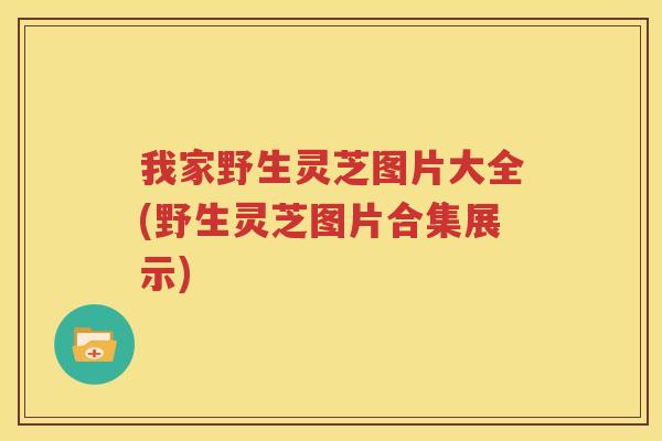我家野生灵芝图片大全(野生灵芝图片合集展示)