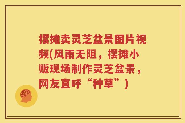 摆摊卖灵芝盆景图片视频(风雨无阻，摆摊小贩现场制作灵芝盆景，网友直呼“种草”)