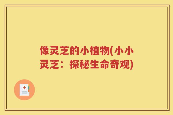 像灵芝的小植物(小小灵芝：探秘生命奇观)
