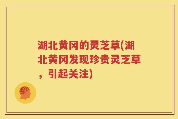 湖北黄冈的灵芝草(湖北黄冈发现珍贵灵芝草，引起关注)