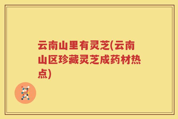 云南山里有灵芝(云南山区珍藏灵芝成药材热点)