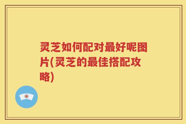 灵芝如何配对最好呢图片(灵芝的最佳搭配攻略)