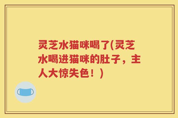 灵芝水猫咪喝了(灵芝水喝进猫咪的肚子，主人大惊失色！)