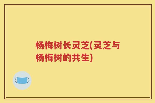 杨梅树长灵芝(灵芝与杨梅树的共生)