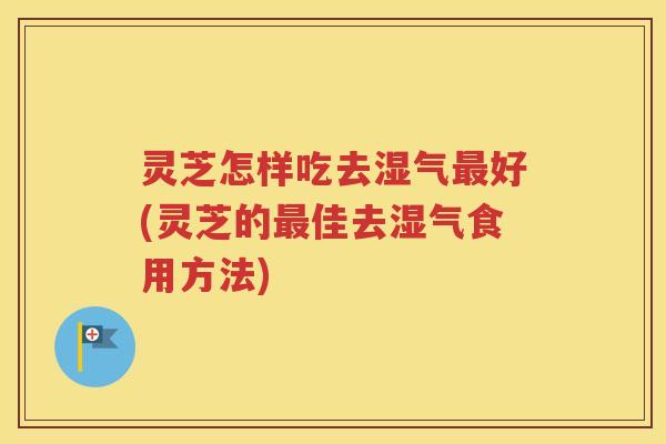 灵芝怎样吃去湿气最好(灵芝的最佳去湿气食用方法)