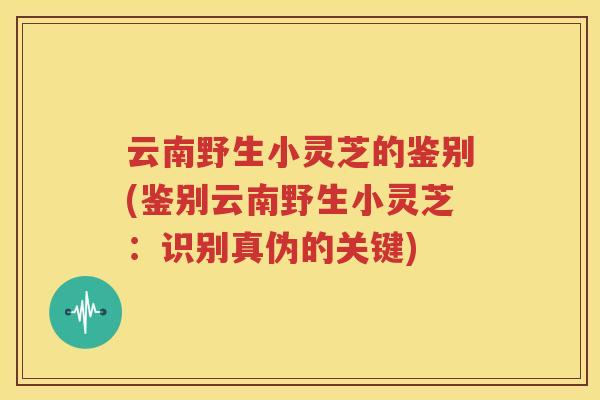 云南野生小灵芝的鉴别(鉴别云南野生小灵芝：识别真伪的关键)