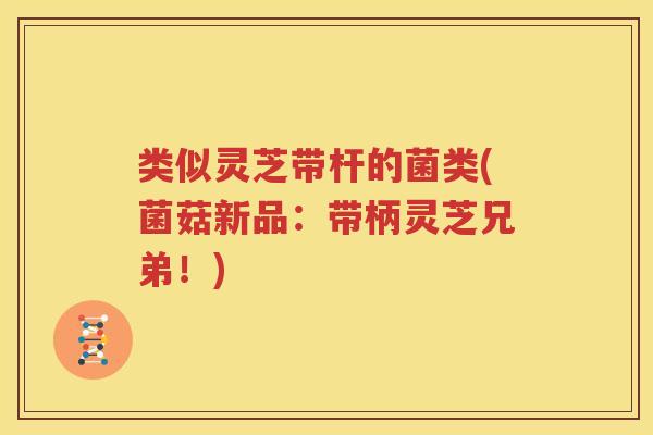 类似灵芝带杆的菌类(菌菇新品：带柄灵芝兄弟！)