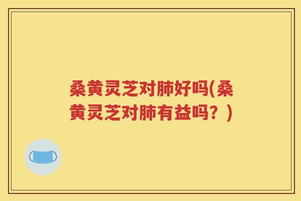 桑黄灵芝对肺好吗(桑黄灵芝对肺有益吗？)