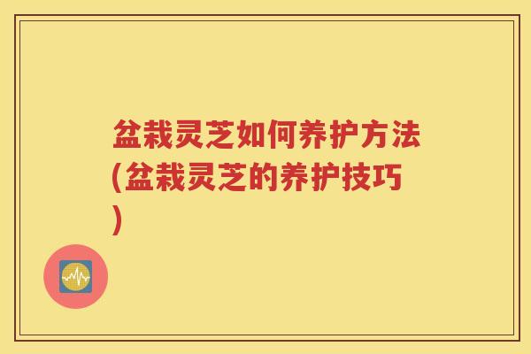 盆栽灵芝如何养护方法(盆栽灵芝的养护技巧)