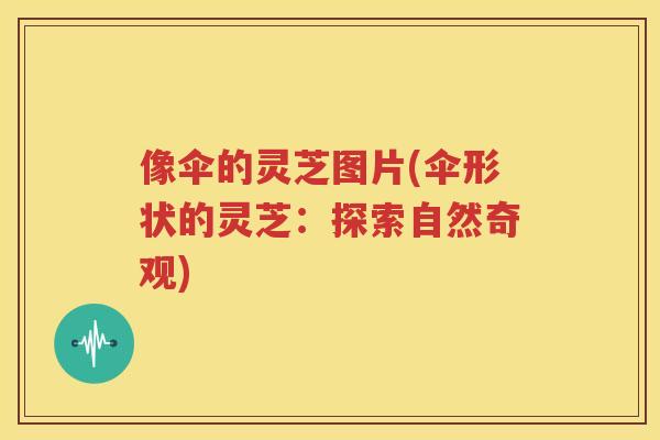 像伞的灵芝图片(伞形状的灵芝：探索自然奇观)
