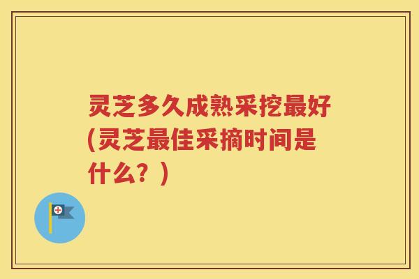 灵芝多久成熟采挖最好(灵芝最佳采摘时间是什么？)