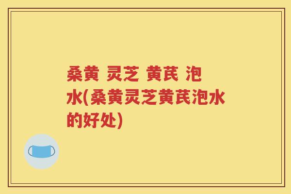 桑黄 灵芝 黄芪 泡水(桑黄灵芝黄芪泡水的好处)