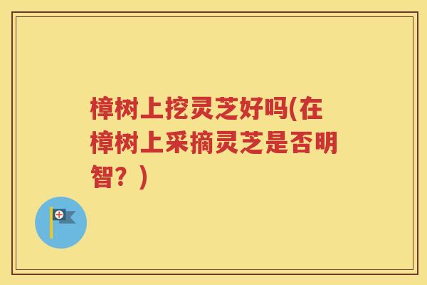 樟树上挖灵芝好吗(在樟树上采摘灵芝是否明智？)