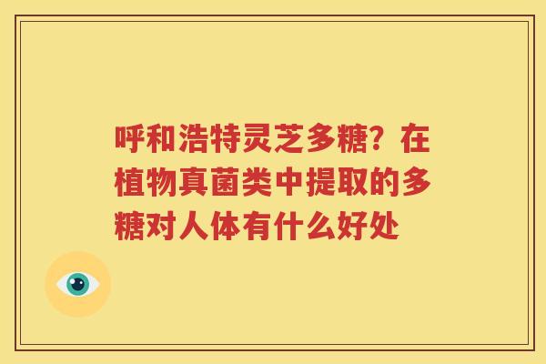 呼和浩特灵芝多糖？在植物真菌类中提取的多糖对人体有什么好处