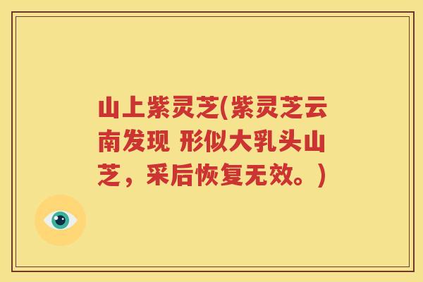 山上紫灵芝(紫灵芝云南发现 形似大乳头山芝，采后恢复无效。)