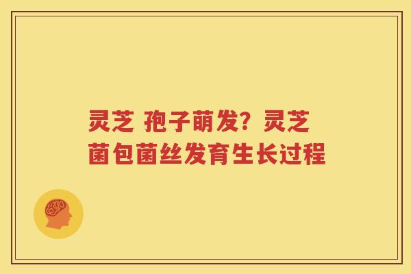 灵芝 孢子萌发？灵芝菌包菌丝发育生长过程