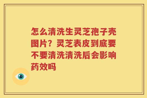 怎么清洗生灵芝孢子壳图片？灵芝表皮到底要不要清洗清洗后会影响药效吗
