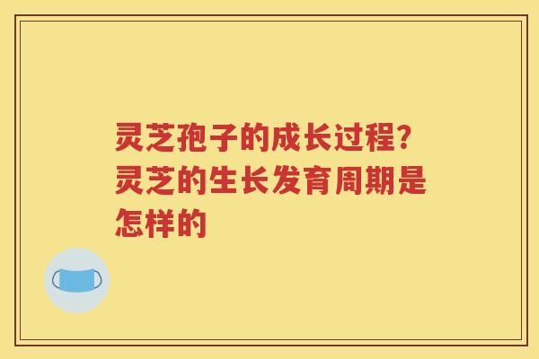 灵芝孢子的成长过程？灵芝的生长发育周期是怎样的