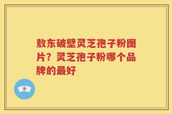 敖东破壁灵芝孢子粉图片？灵芝孢子粉哪个品牌的最好