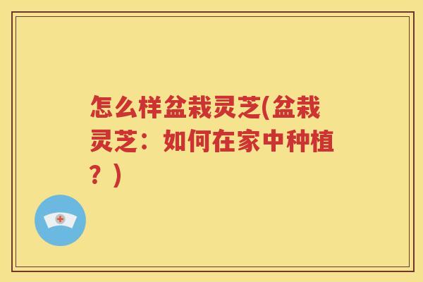 怎么样盆栽灵芝(盆栽灵芝：如何在家中种植？)