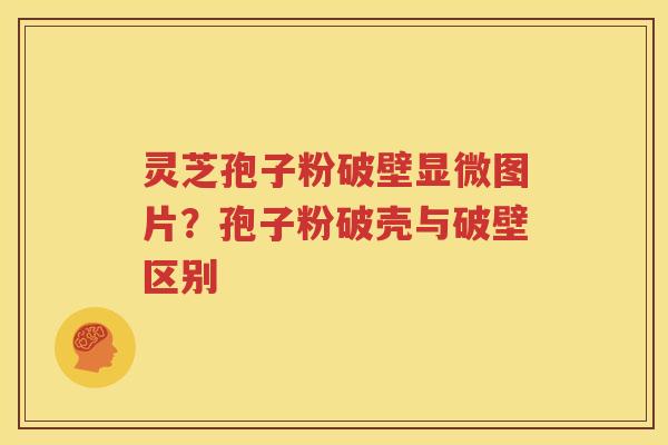 灵芝孢子粉破壁显微图片？孢子粉破壳与破壁区别
